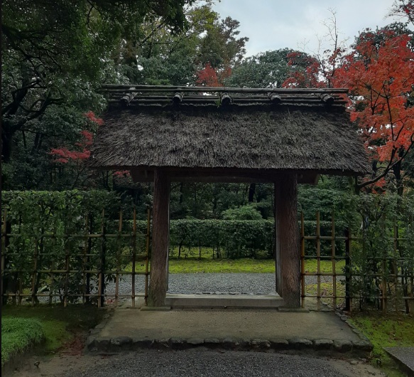 桂離宮　御幸門